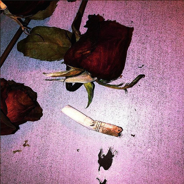 Rosas Mortas