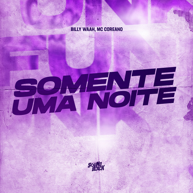 Somente uma Noite