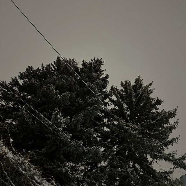 stories cover art