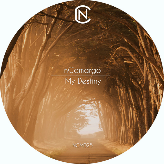 My Destiny cover art