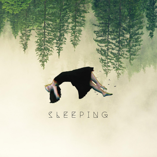 Sleeping cover