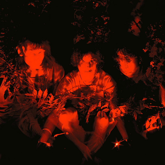 internal fuzz cover art