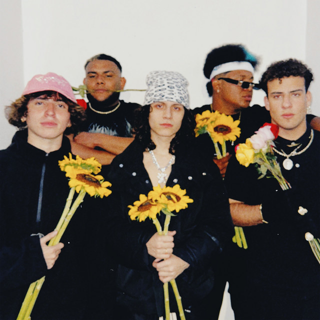 undefined album image