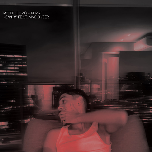 Meter o Caô (Remix)