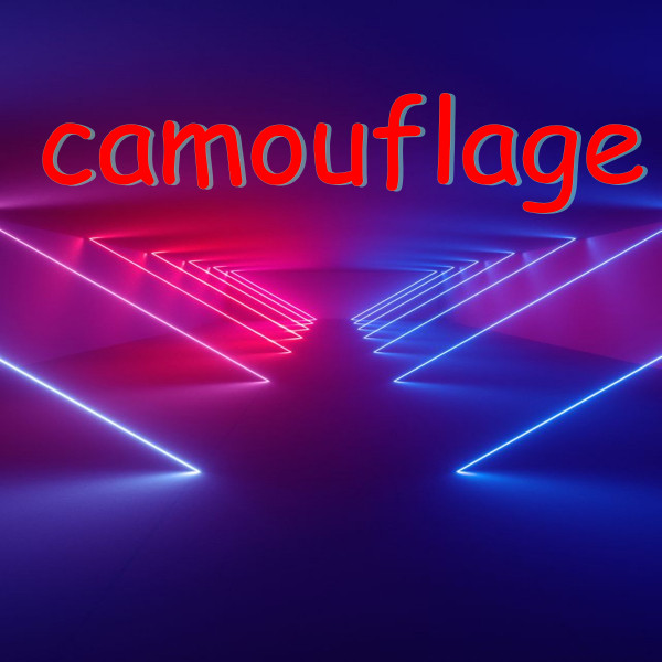 camouflage cover art