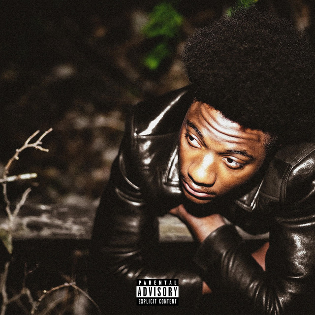 A Wandering Rockstar cover art