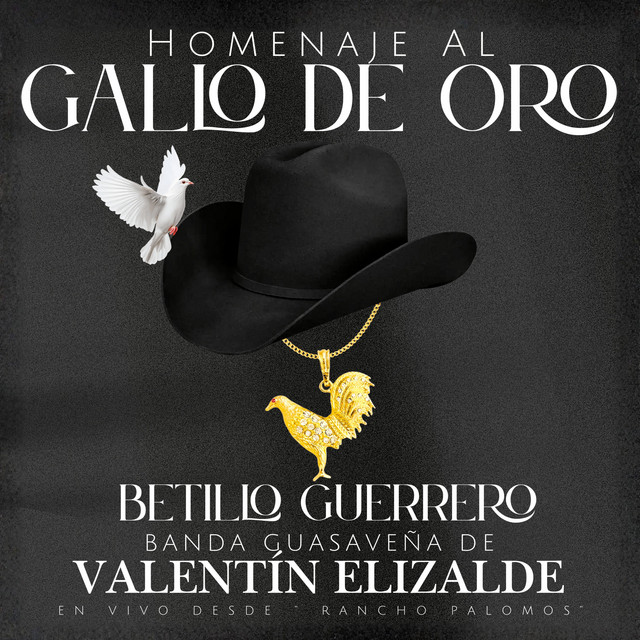 Homenaje Al Gallo De Oro (En Vivo) cover art
