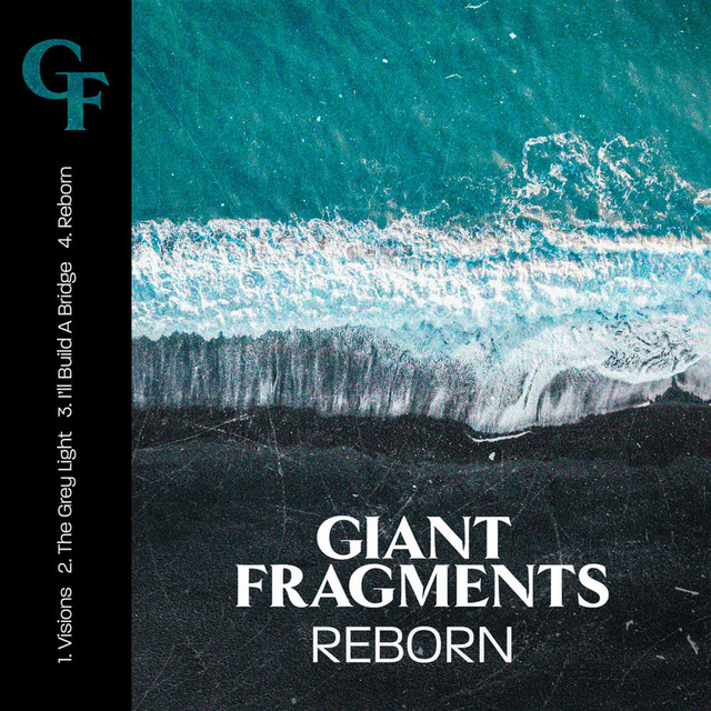 Reborn cover