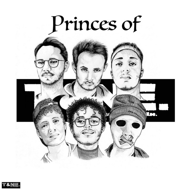Princes of T&NE cover art