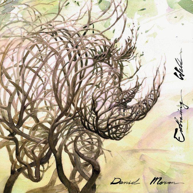 Embracing Wild cover art