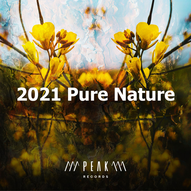 2021 Pure Nature - Album by Nature Sounds Artists | Spotify