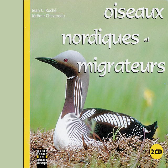 Oiseaux Nordiques Et Migrateurs