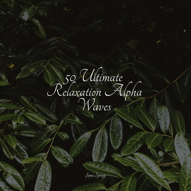 50 Ultimate Relaxation Alpha Waves - Album by Sleepy Night Music | Spotify