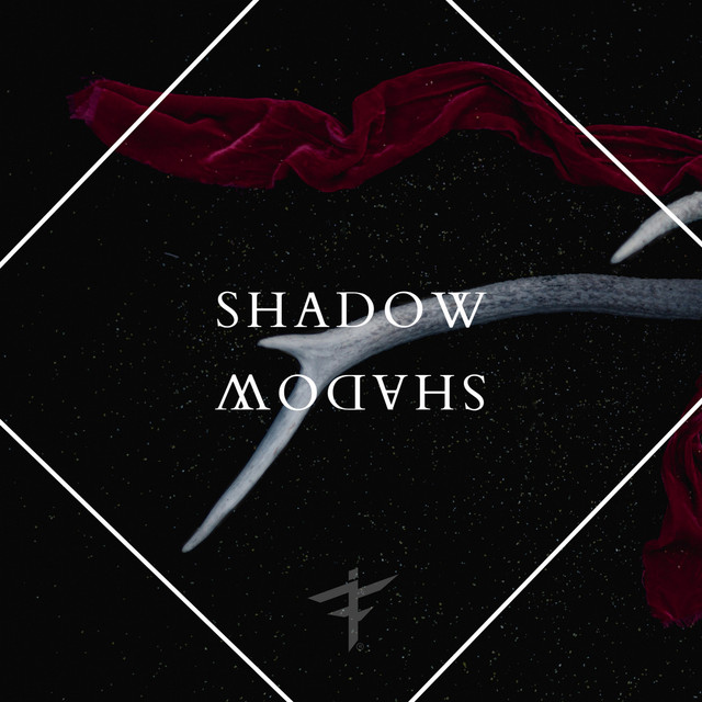 Shadow cover art