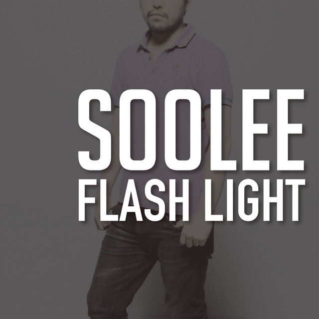 Flash Light cover art