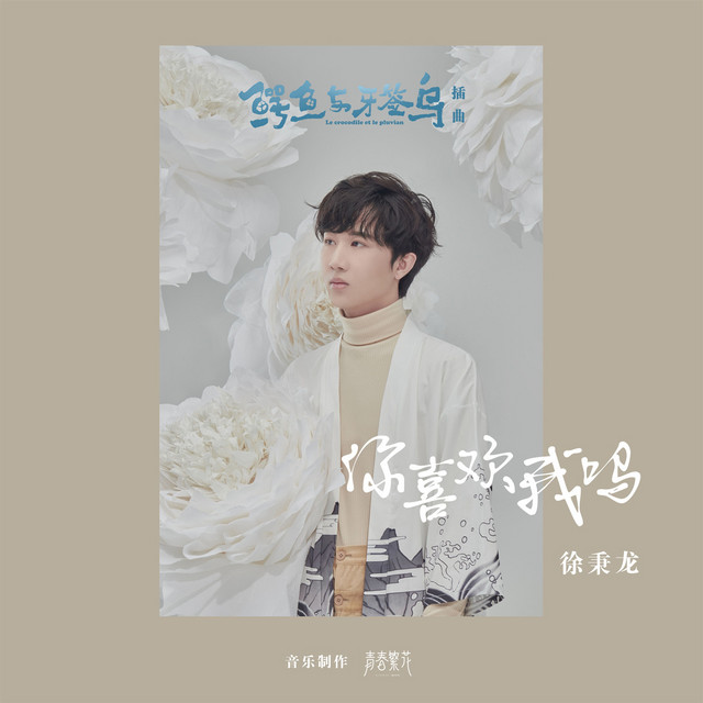 Capa de 你喜欢我吗 - 《鳄鱼与牙签鸟》电视剧插曲 - 徐秉龙
