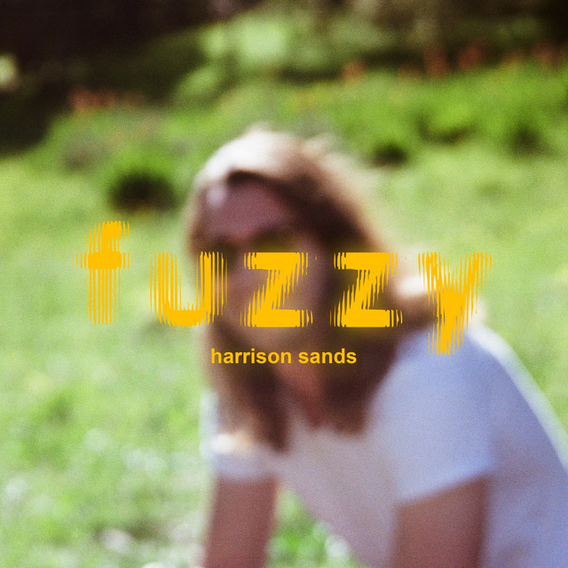 Fuzzy cover art
