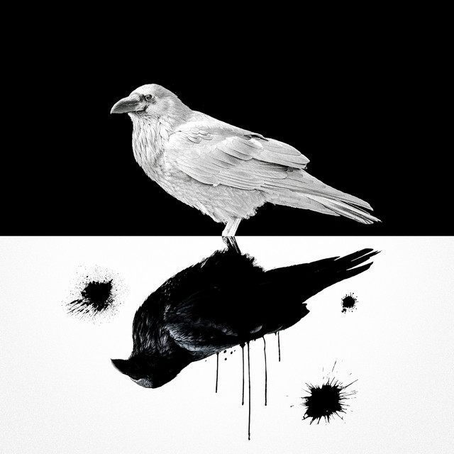 Noir Pack cover art