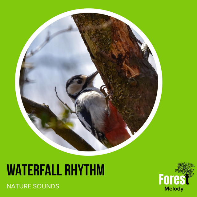Waterfall Rhythm - Nature Sounds - Compilation by Various Artists | Spotify