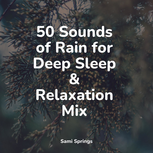 50 Sounds of Rain for Deep Sleep & Relaxation Mix - Album by Happy Baby ...