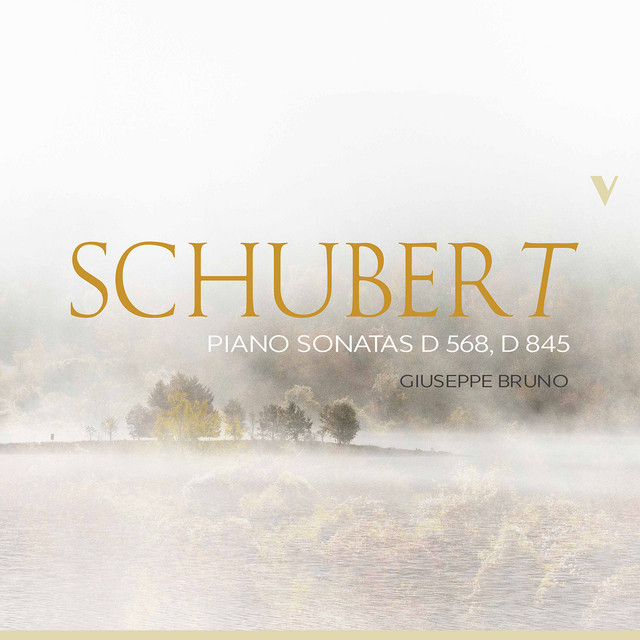 Schubert: Piano Sonatas, D. 568 & 845 - Album by Franz Schubert | Spotify