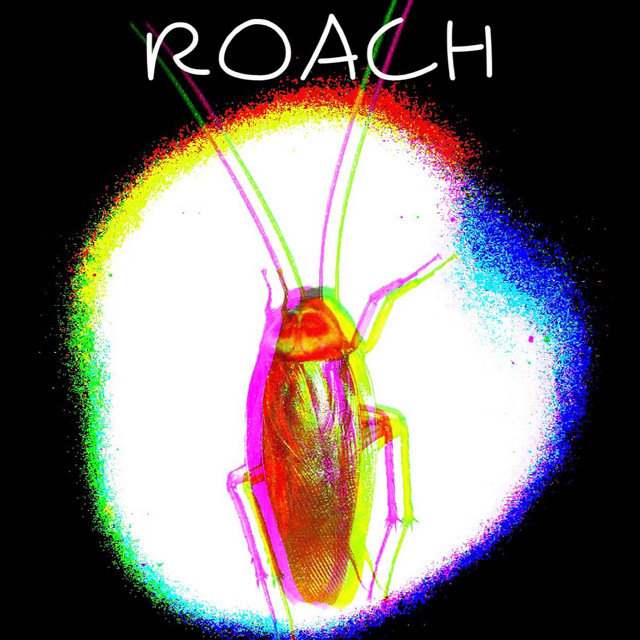 Roach cover art