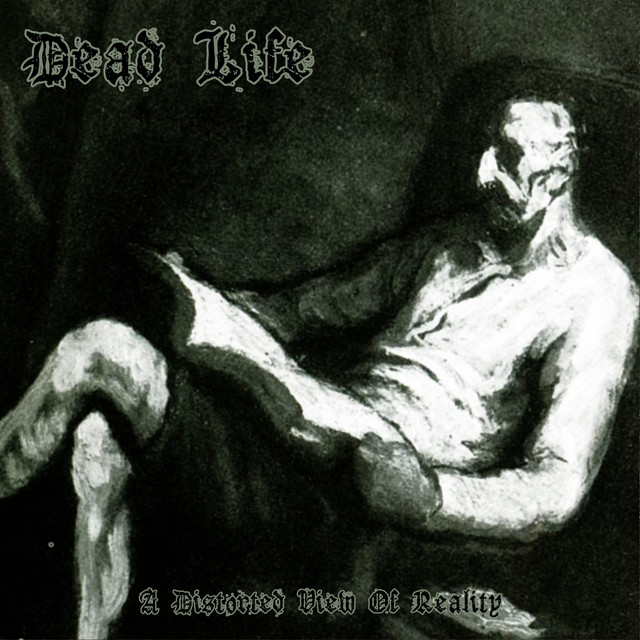 A Distorted View Of Reality album image
