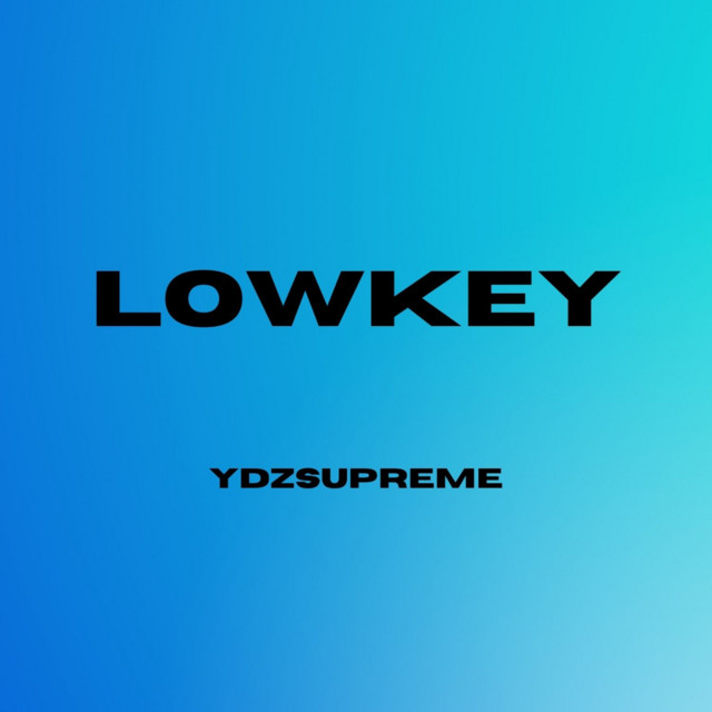 lowkey-single-by-ydzsupreme-spotify