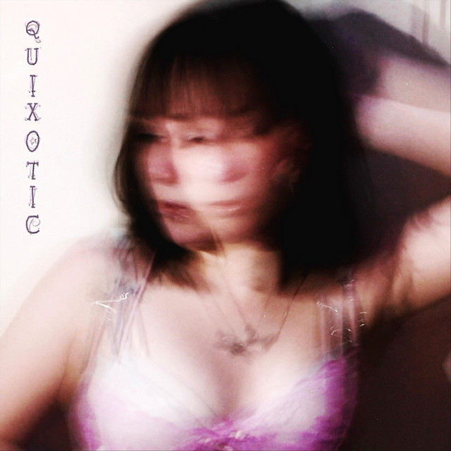 Quixotic cover art