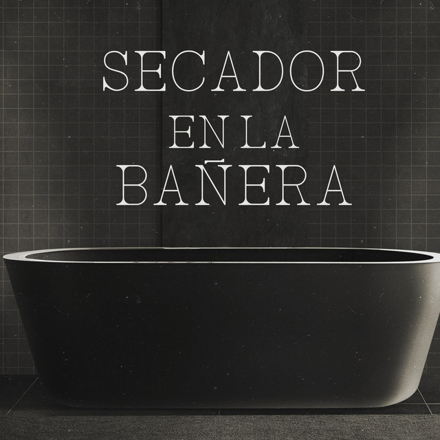Secador en la bañera
