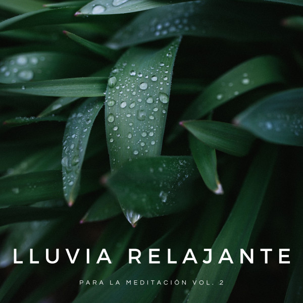 Lluvia Relajante Para La Meditación Vol. 2 - Album by Sonidos de lluvia ...