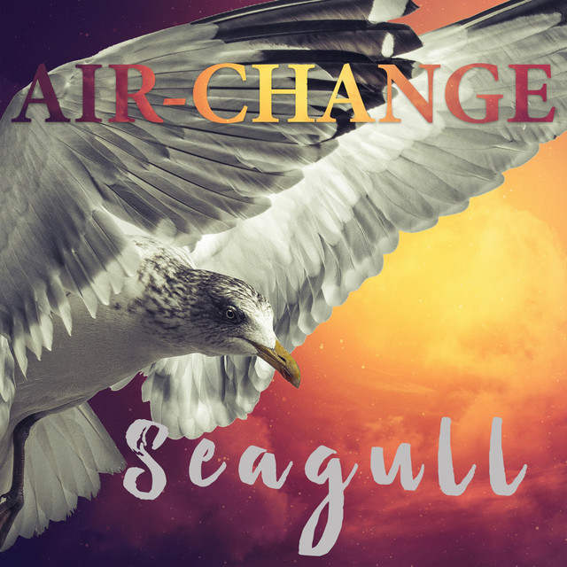 Seagull cover