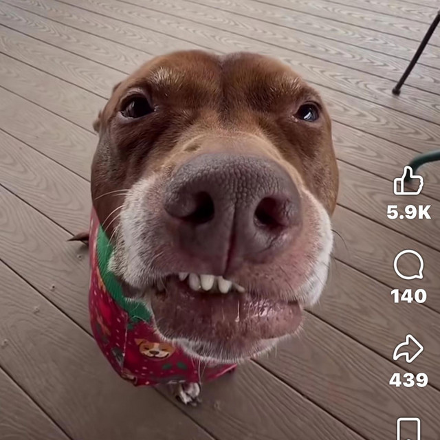 Ill keep on loving you anyway