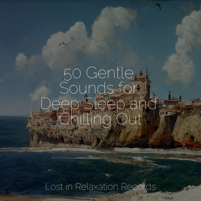 50 Gentle Sounds for Deep Sleep and Chilling Out - Album by Musica ...