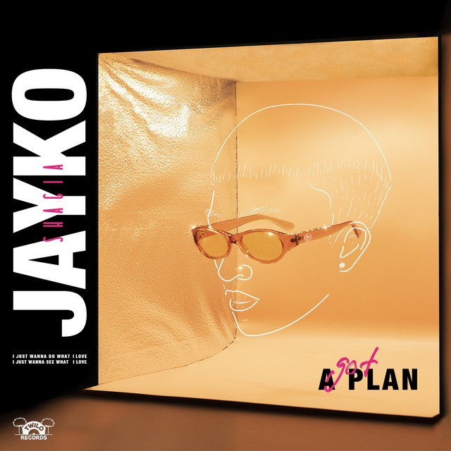 Got a Plan cover art