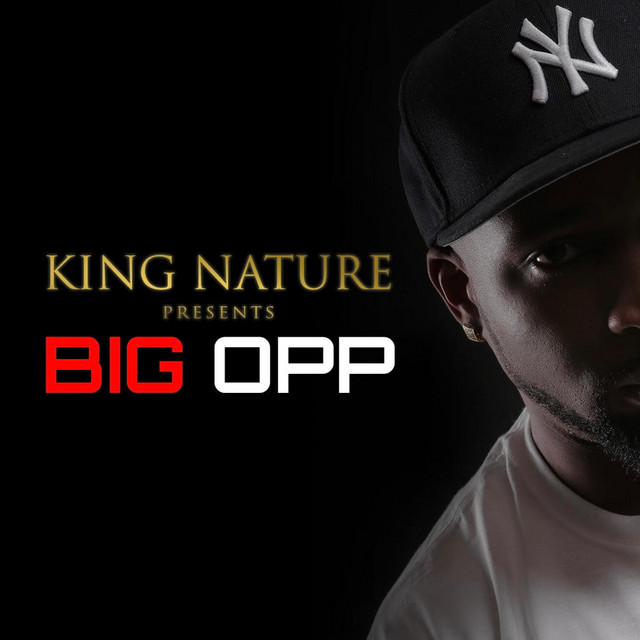 BIG OPP - Album by King Nature | Spotify