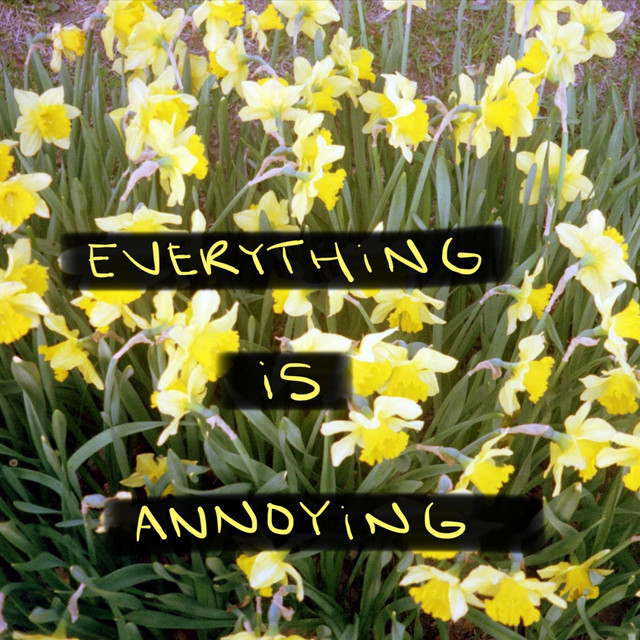 Everything Is Annoying