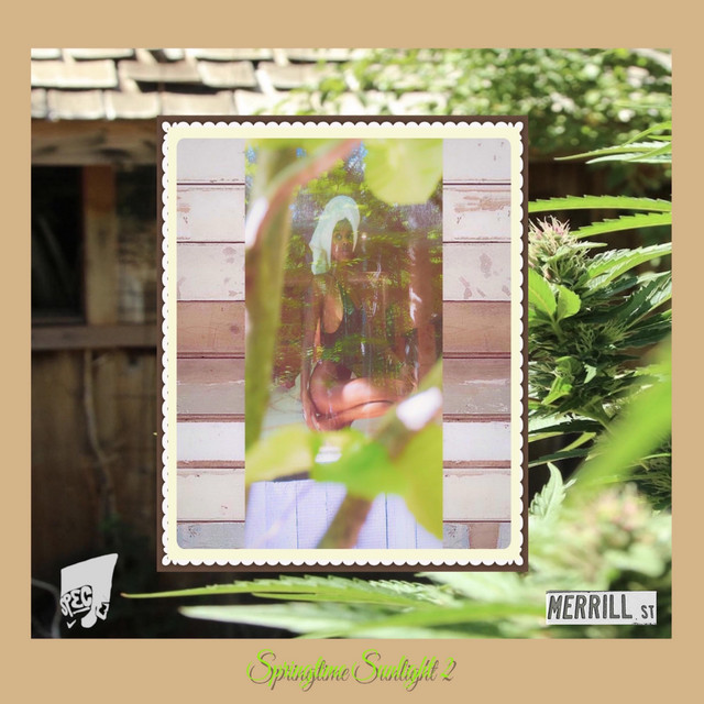 Springtime Sunlight 2 cover art