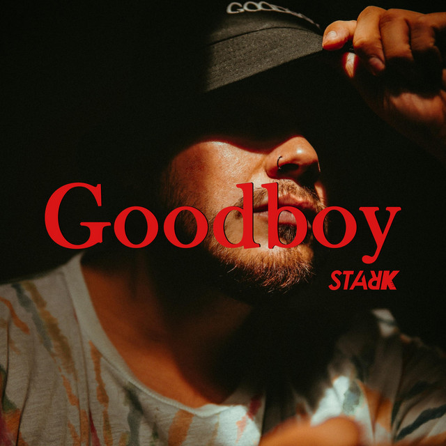 Goodboy cover art