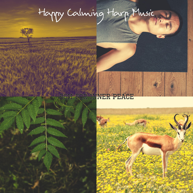 Bgm for Inner Peace cover art