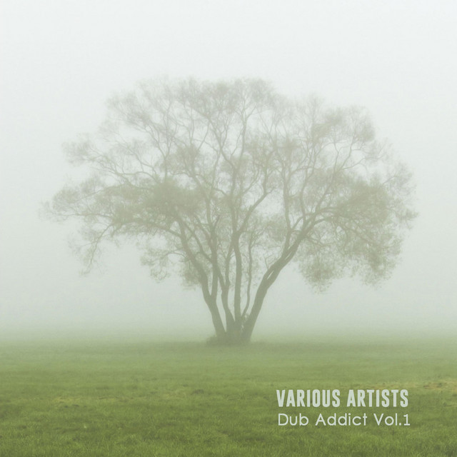 Dub Addict, Vol​.​ 1 cover