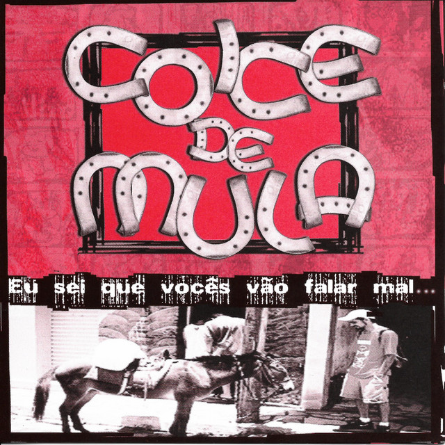Eu Sei Que Voces Vao Falar Mal... cover art