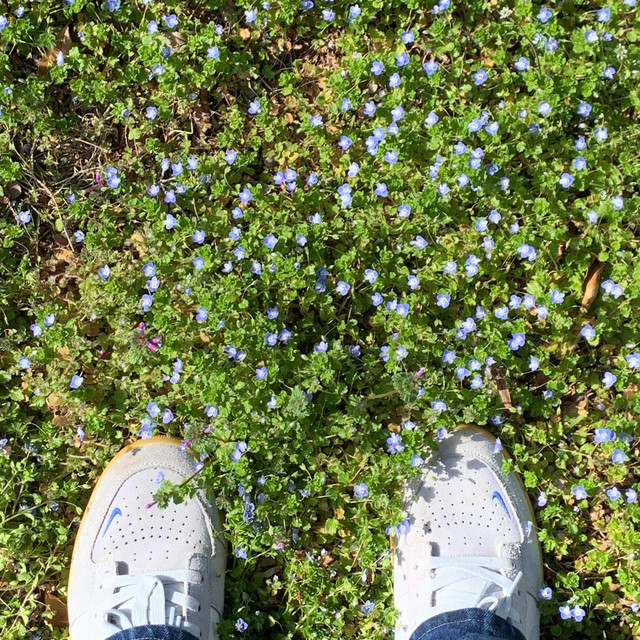 Like A Secret cover art