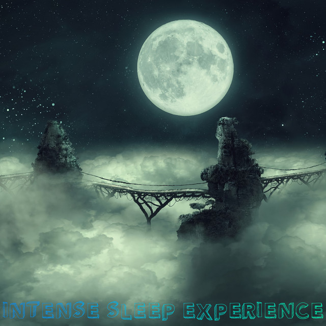 Intense Sleep Experience cover art
