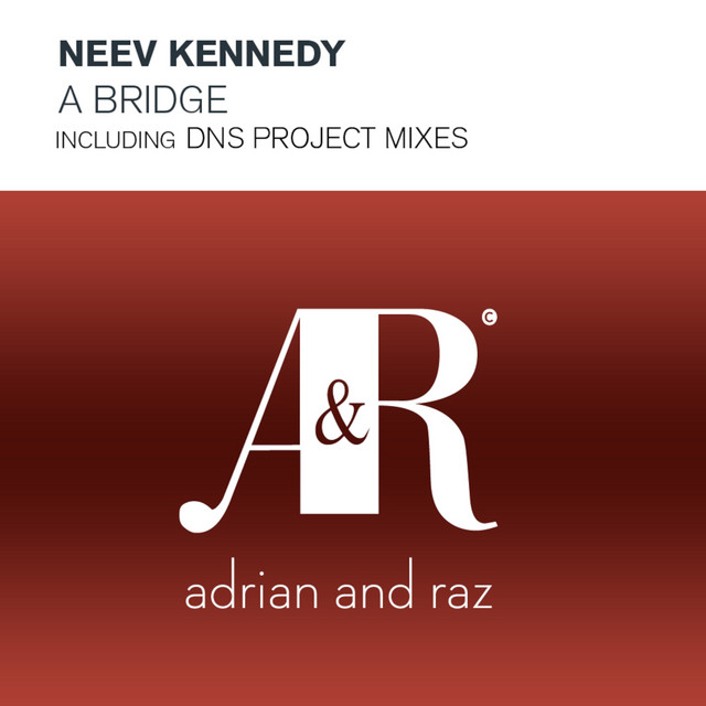 A Bridge cover art
