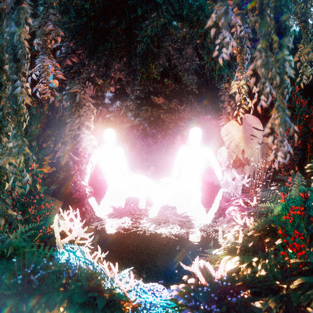 TYPE=“RESET” cover art