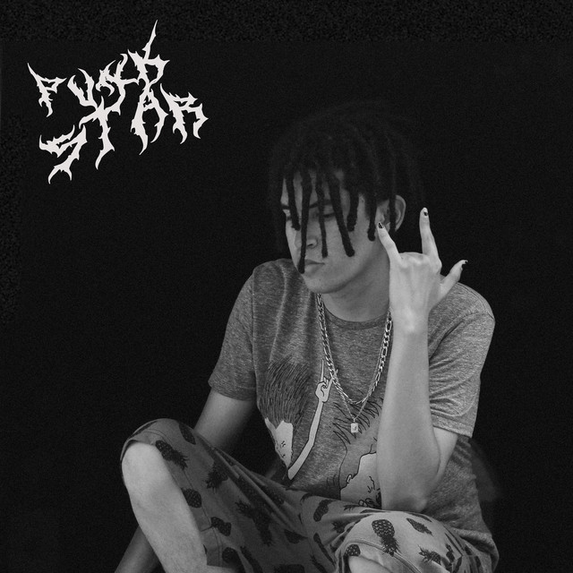 Punk Star cover art