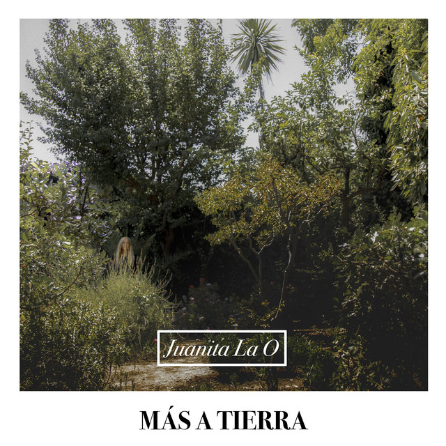 Más a Tierra cover art