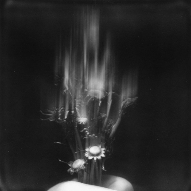 metamorphosis cover art
