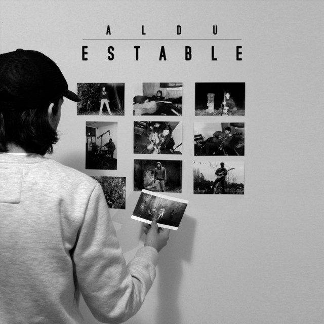 Estable cover art